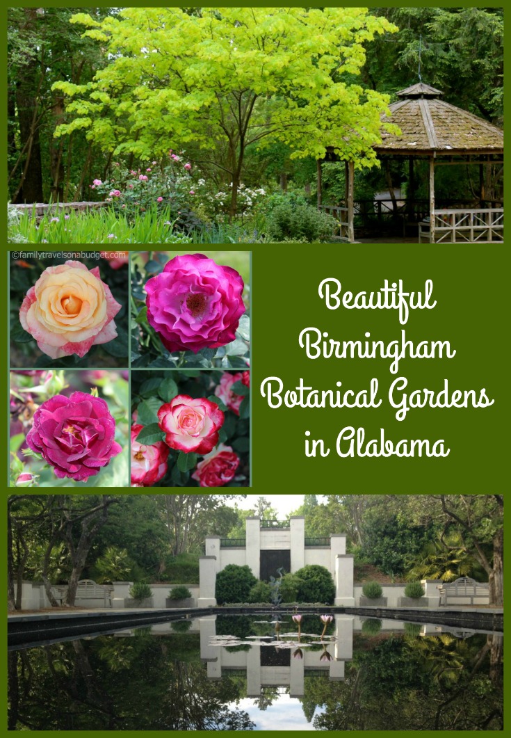 Hidden Gems: Birmingham Botanical Gardens