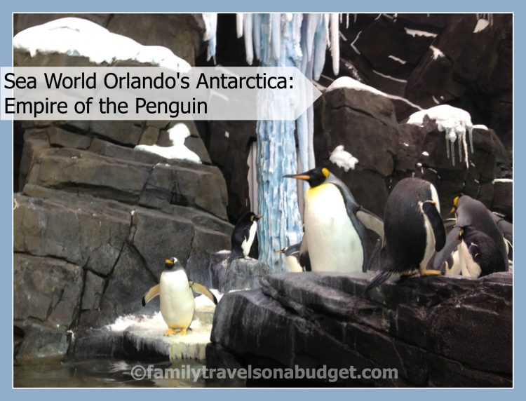 Sea World's Antarctica Empire of the Penguin Review Family Travels