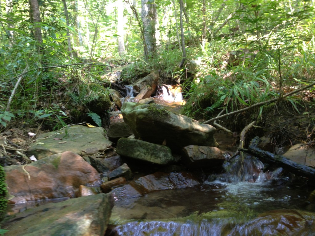 Rocky stream running through the Hoover forest preserve