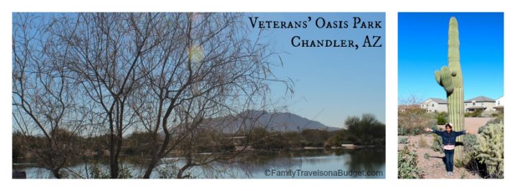 Collage of photos from Veterans' Oasis Park in Chandler AZ.