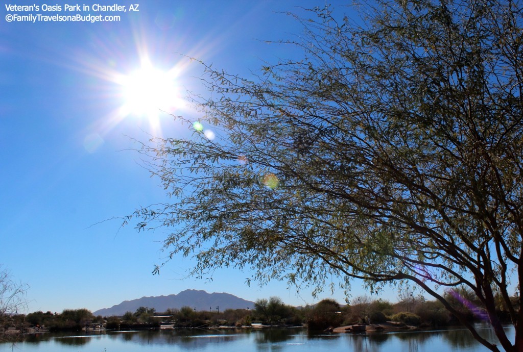 Visit Tempe AZ sunshine