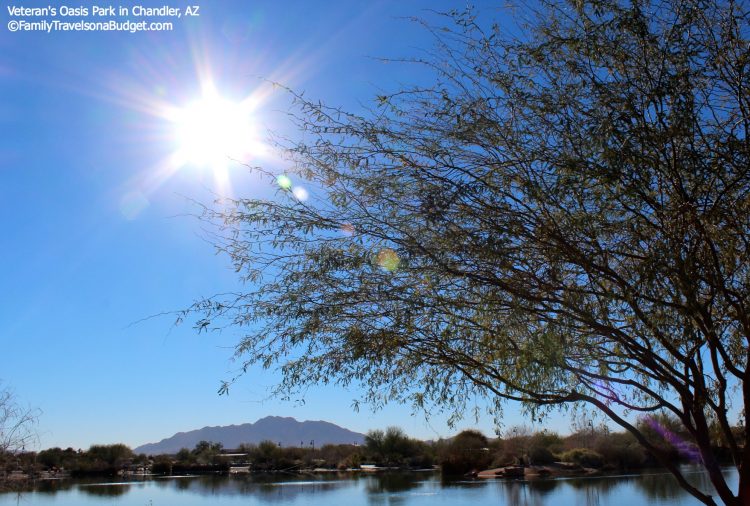 Top 5 reasons to visit TempeChandler, AZ Family Travels on a Budget