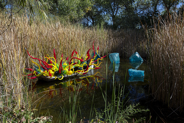 Photo Credit: Desert Botanical Garden. Used with permission. Do you see the "penguins"?