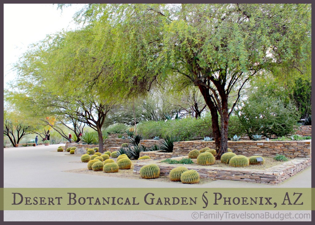 Desert Botanical Garden Family Travels On A Budget