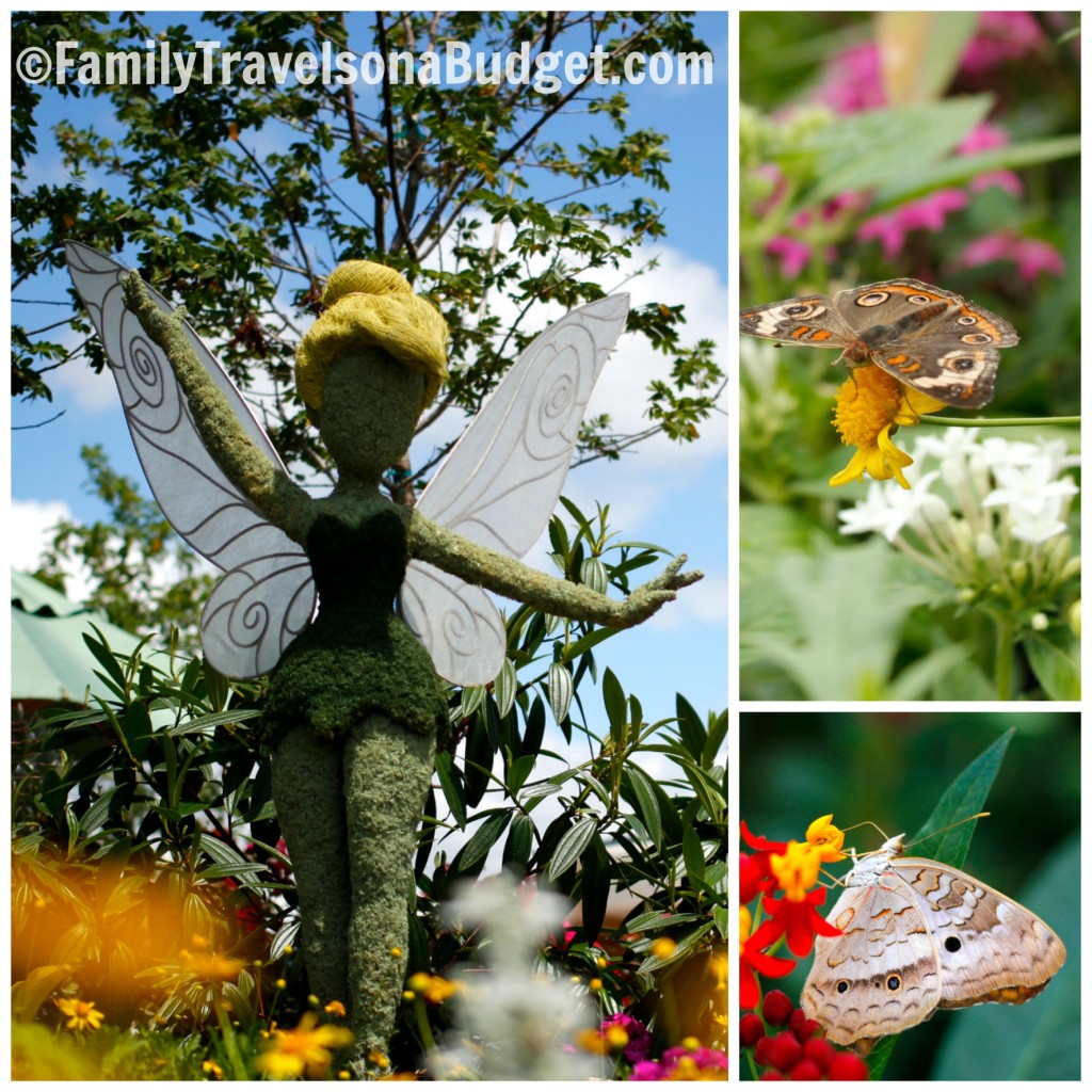 Epcot Flower and Garden Festival Butterflies