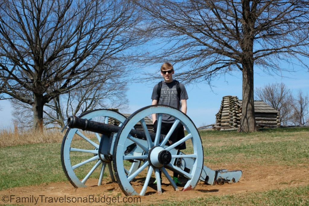 Valley Forge Cabin and Cannon