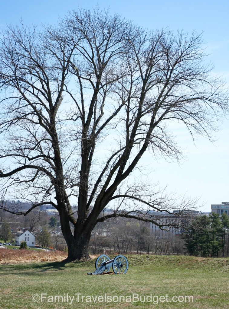 Valley Forge Cannon