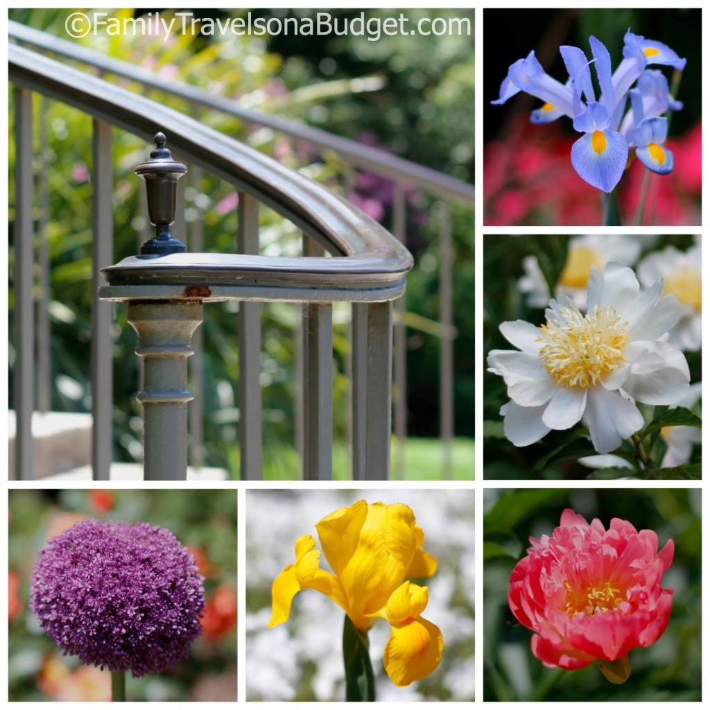 Flowers and a stair rail close ups at Sarah P. Duke Gardens near Raleigh, NC.