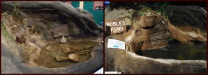 A couple of the ecosystems featured at the museum. These are based on local parks and nature preserves.