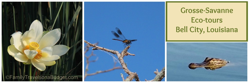 Grosse Savanne Ecotours in Louisiana, #ecotourism #bayou #marshland