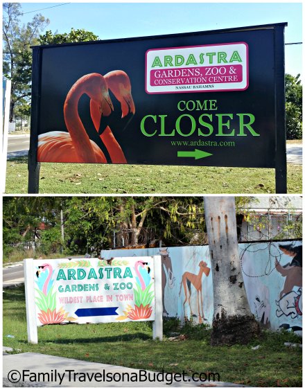 Ardastra Gardens signs