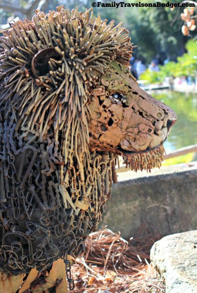 Lion at Riverbanks Zoo