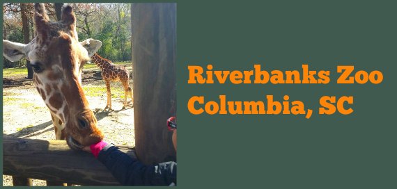 Directions To Riverbanks Zoo Riverbanks Zoo In Columbia, Sc - Family Travels On A Budget