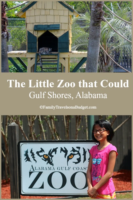 The Alabama Gulf Coast Zoo, aka the Little Zoo that Could, makes a great family outing in Gulf Shores. Learn more at https://familytravelsonabudget.com/attractions/little-zoo-that-could/ ‎