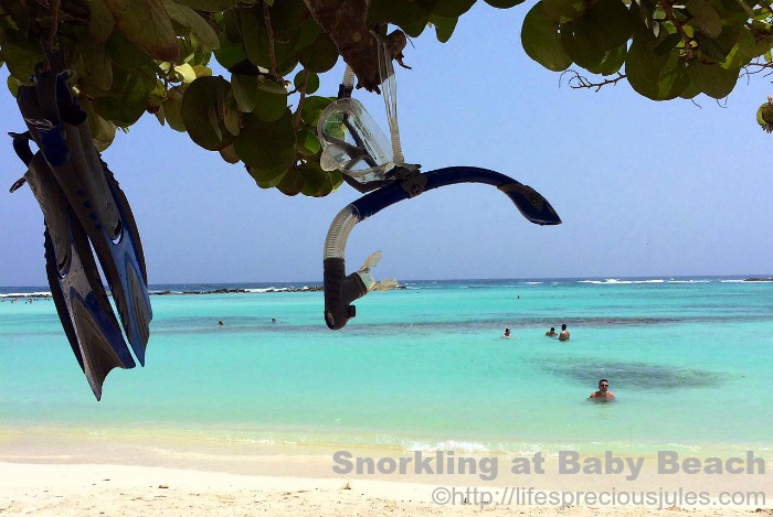 Snorkling Baby Beach by Julia Sayers