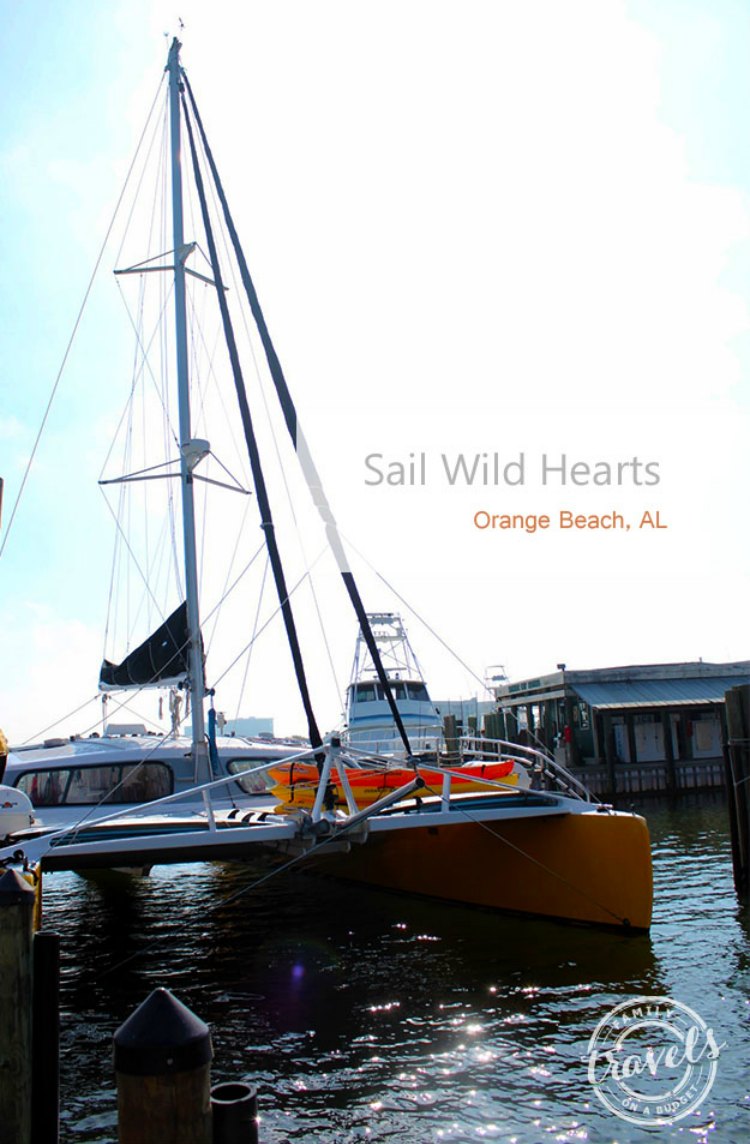 Sail Wild Hearts and the Blue Angels