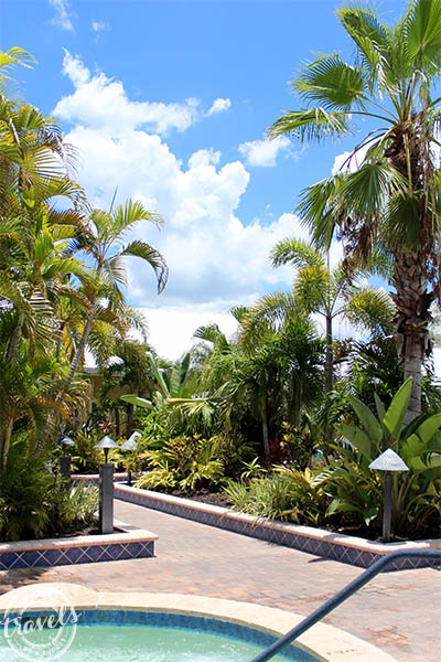 Sun and fun Sarasota means palm trees and hot tubs under a bright, blue sky