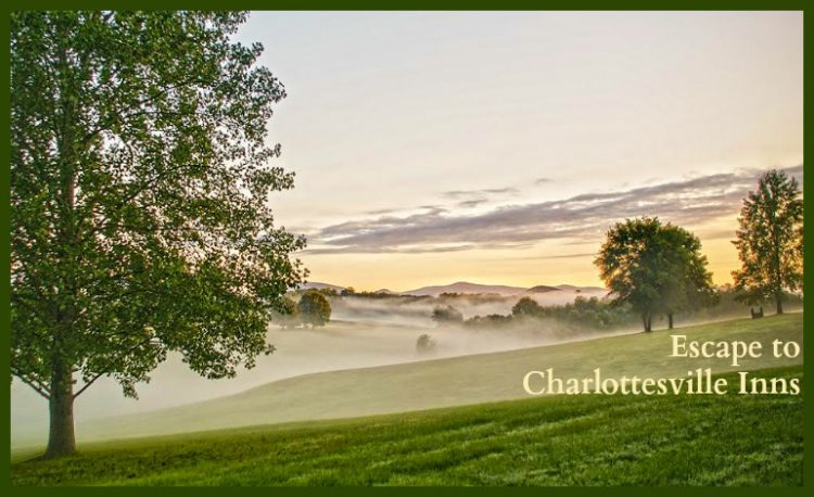 Photo provided by the Charlottesville CVB. Used with permission.