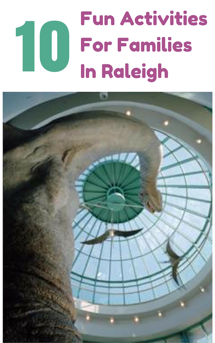 10 family fun Raleigh activities