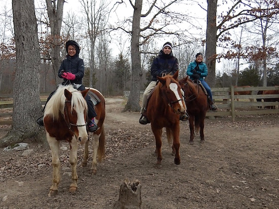 Shenandoah Horseback Riding