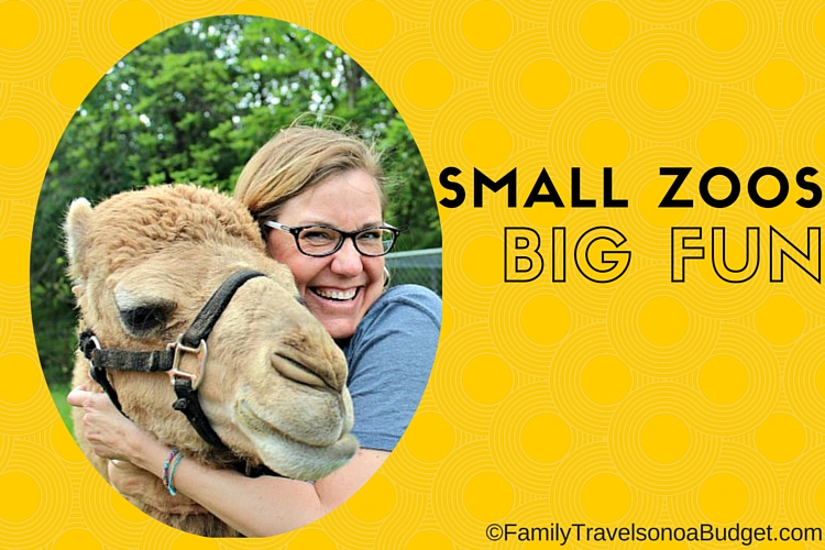 Small Zoo Big Fun