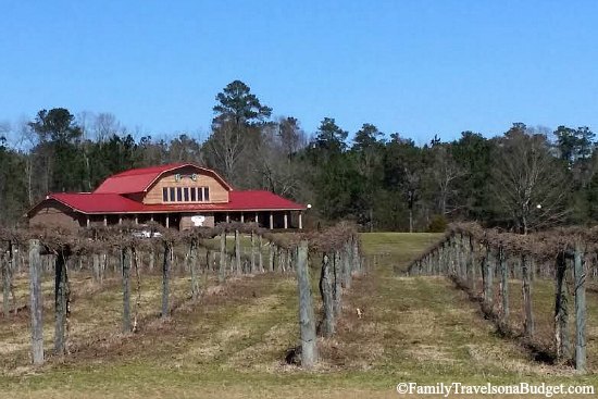 Gregory Vineyards in VisitJoCo