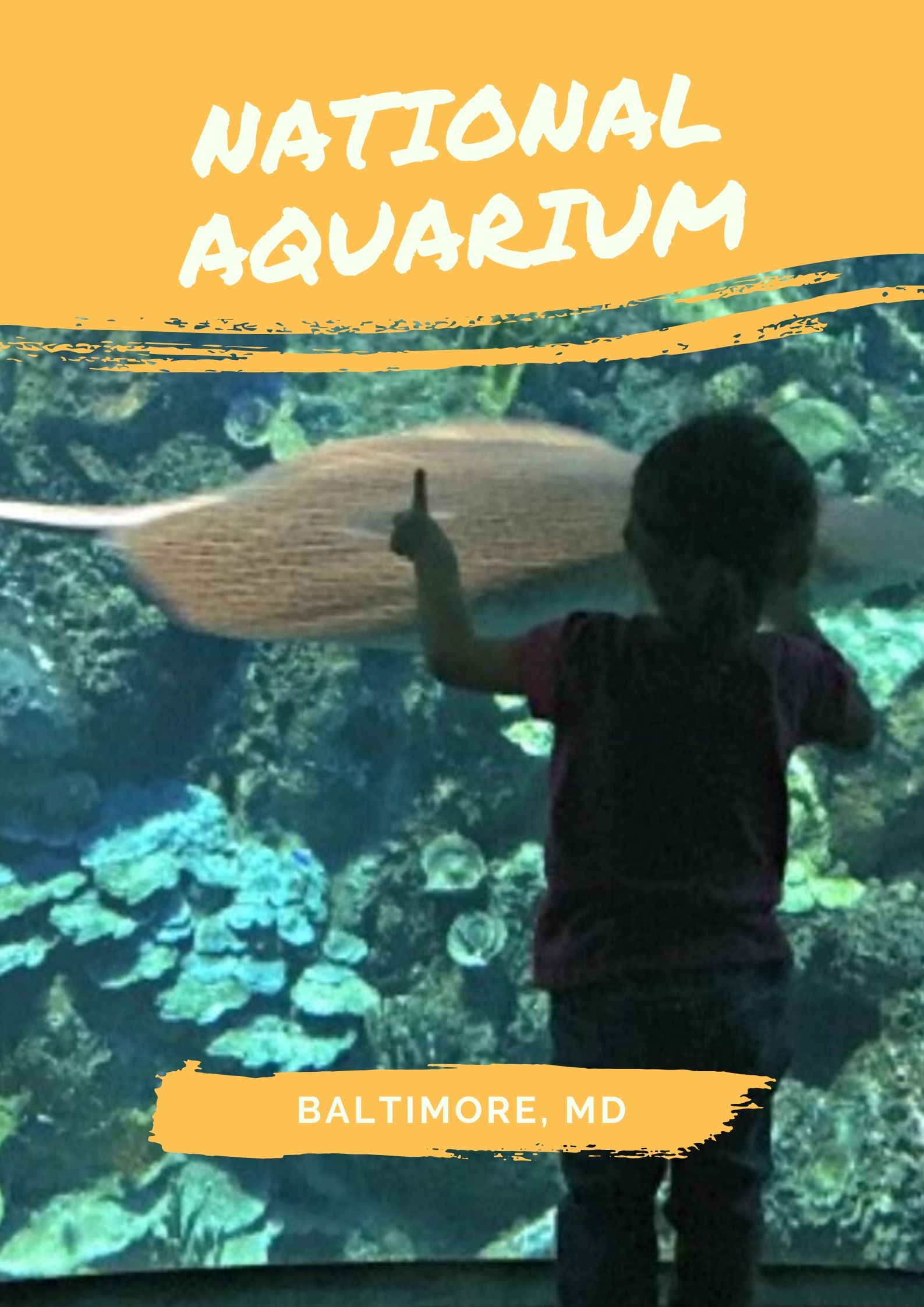 The National Aquarium in Baltimore, Maryland is a great place for kids and adults to visit. We share tips to plan your visit and avoid the crowds! #baltimoreaquarium #nationalaquariumbaltimore  #baltimoreaquariumkids #thingstodoinbaltimore #baltimoremaryland #baltimoremarylandinnerharbor #baltimoremarylandwithkids via @karendawkins