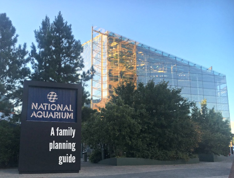 Baltimore’s National Aquarium