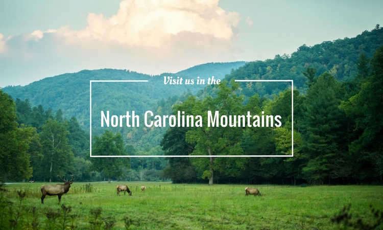 North Carolina Mountains vacation #visitnc