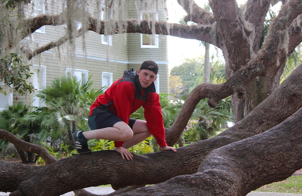 Climbing a live oak tree covered in spanish moss at the Jekyll Island Club Resort.