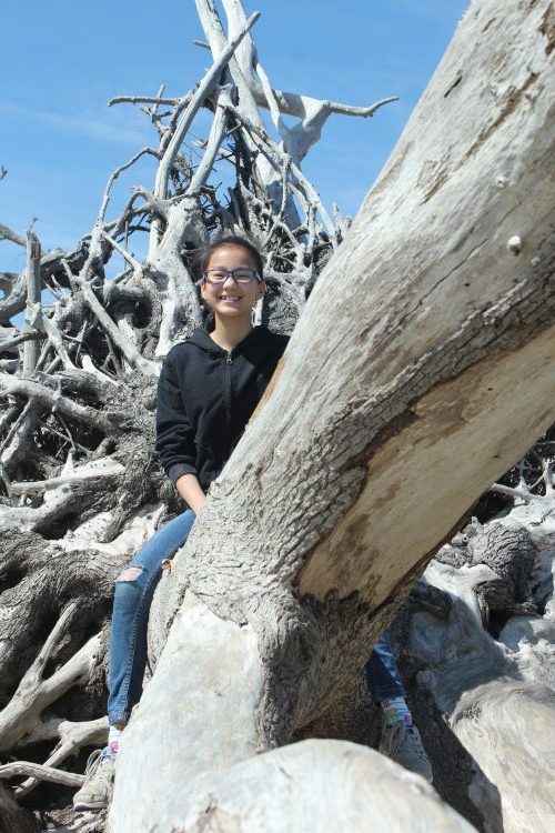 Driftwood Beach photography: a cheesy grin from atop a massive, fallen tree