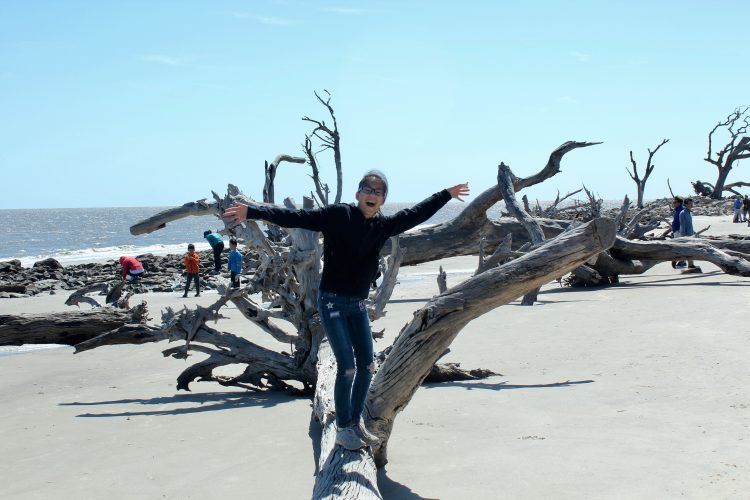 Driftwood Beach Photography: Girl balances on a fallen driftwood beach tree.