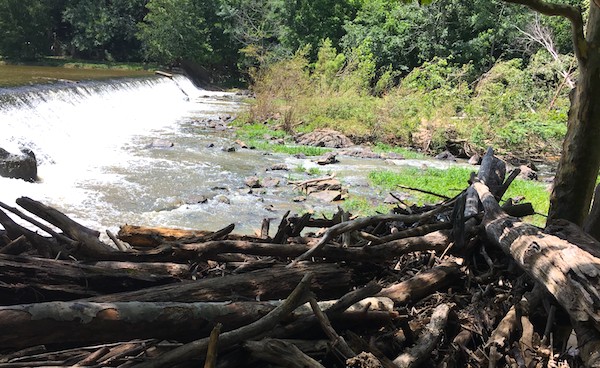 Eno River in Durham.