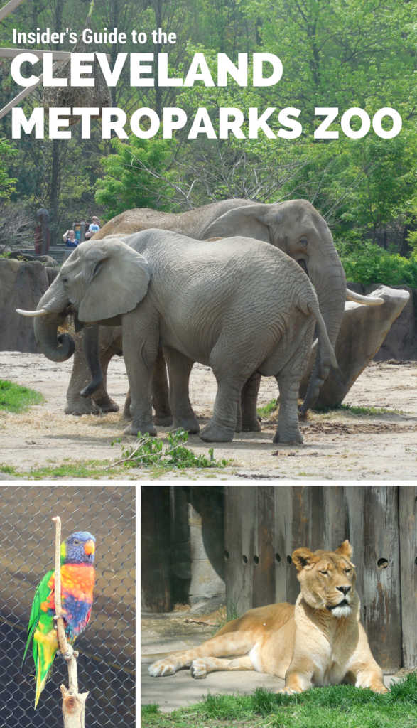 An insider's guide to the Cleveland Zoo Family Travels on a Budget