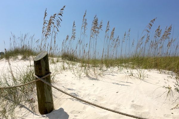 dunes at gulf state park in Alabama