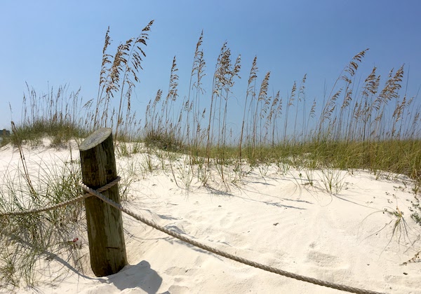 dunes at gulf state park in Alabama
