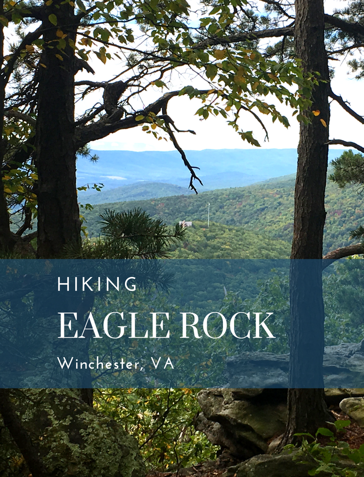 Hiking the Tuscarora Trail to Eagle Rock Overlook
