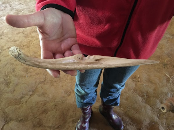 Native American knife made from deer bone