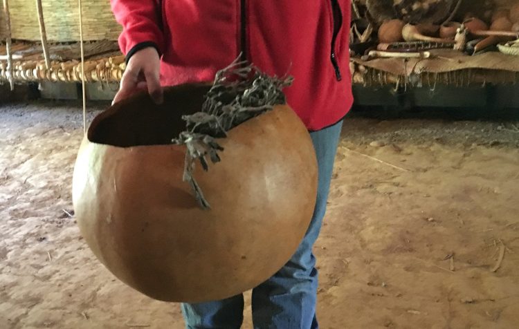 Cooking gourd used by Native Americans to make soups and stews. 