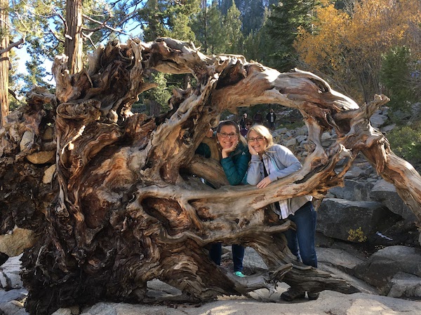 Posing in the roots of a fallen, petrified tree.