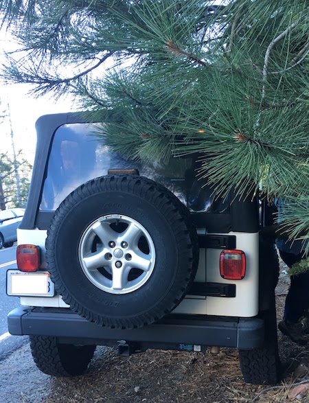 Jeep parked at the dege of the road under a pine tree.