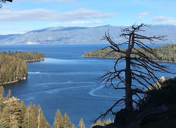 View of Lake Tahoe from the Eagle Falls hiking trail with mountain in the background and a dead tree in the foreground.