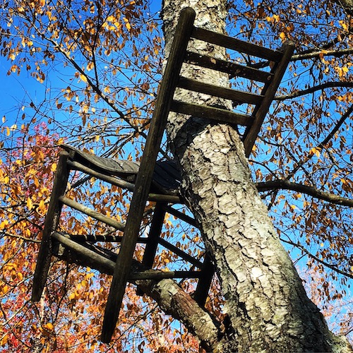 Close up of one chair in the Forest for the Chairs installation at NCMA