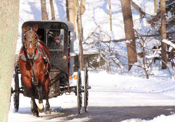 Horse and buggy ride through the countryside is part of Christmas in Lancaster PA