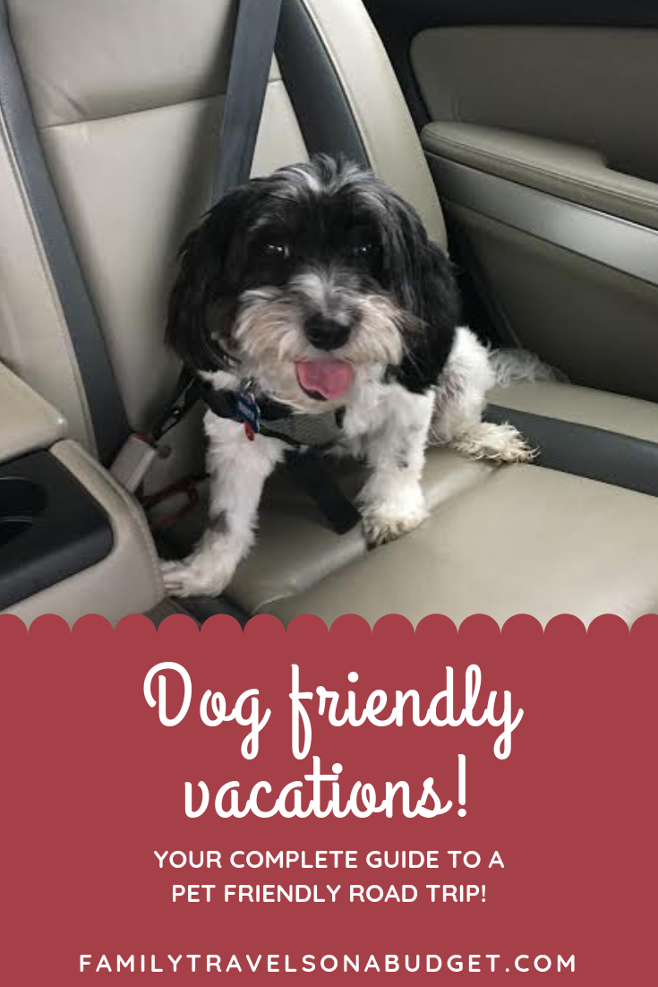 Pet Friendly Trips: Complete Guide To Dog Friendly Road Trips - Family ...