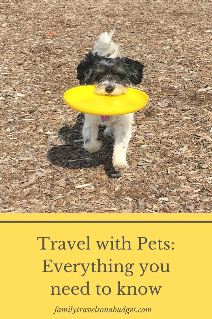 A dog friendly road trip starts with just a little planning. Make sure you have everything you need for your pet, includes travel tips, packing list and more. #pettravel #pettravelessentials #pettravelhacks #pettravelroadtrips #petfriendlytravel #dogtravel via @karendawkins