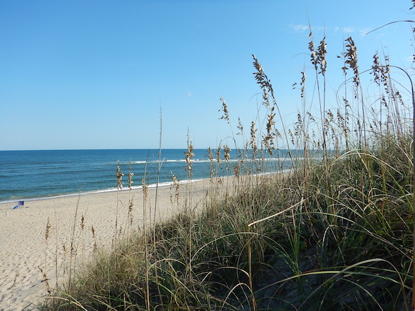 Sea grass in the foreground with the Atlantic Ocean beyond, just one of the relaxing Outer Banks vacation ideas