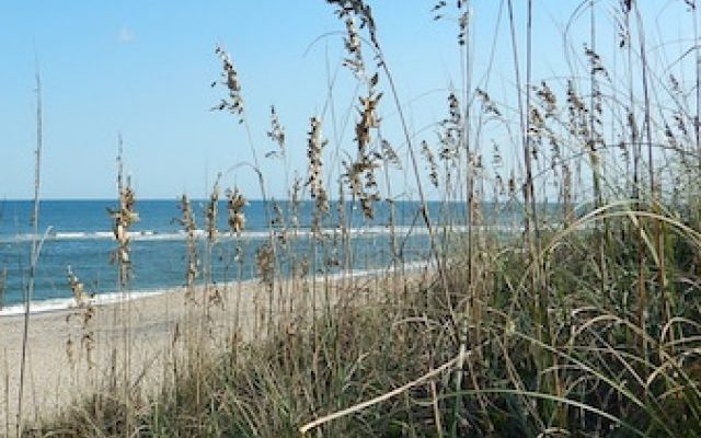 Beach at the Outer Banks