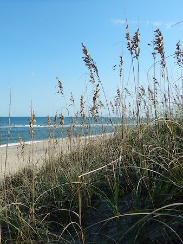 Visit the Outer Banks:
Vacation Ideas