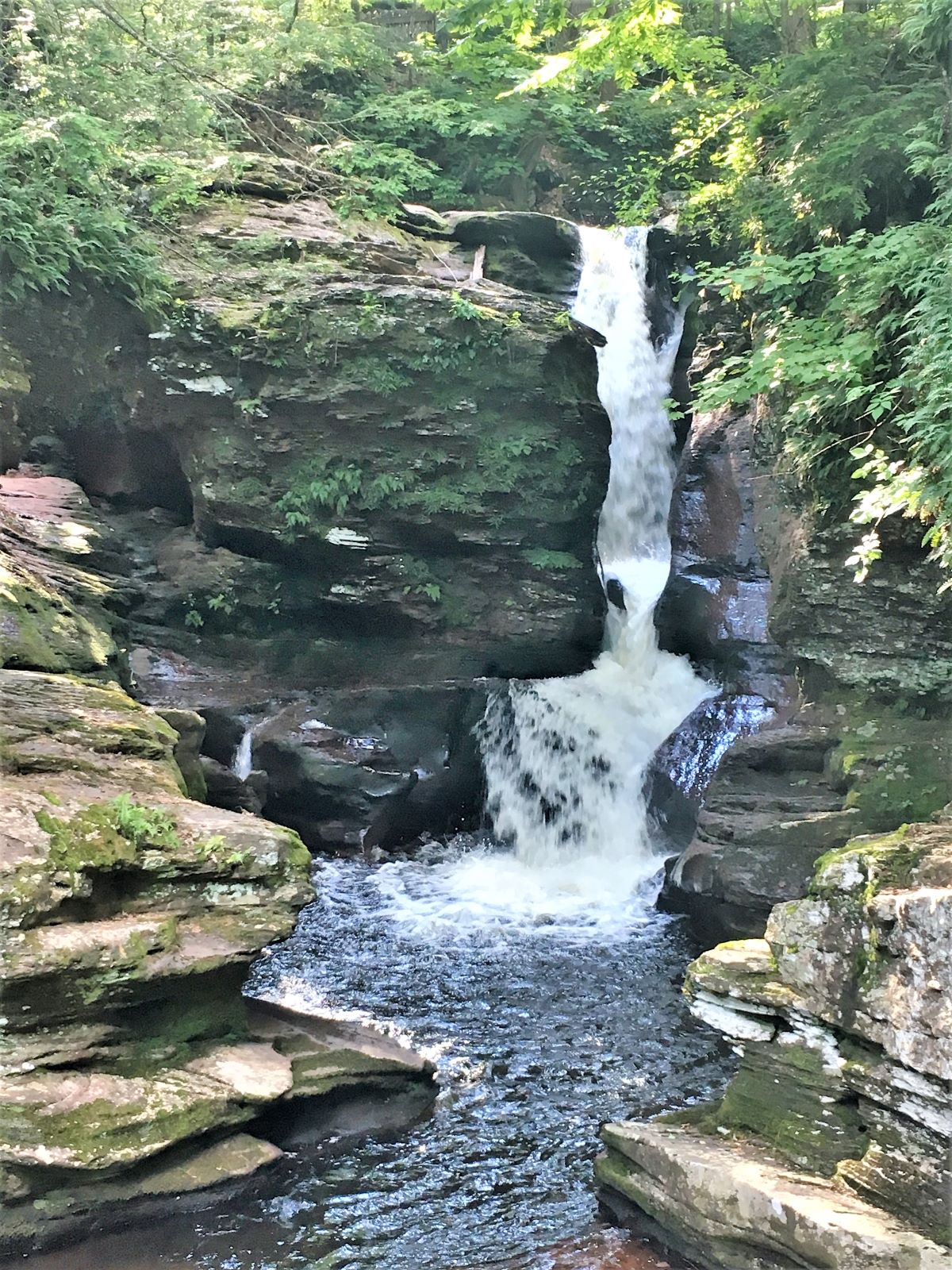 Ricketts Glen Pa S Answer To Overcrowded National Parks Family